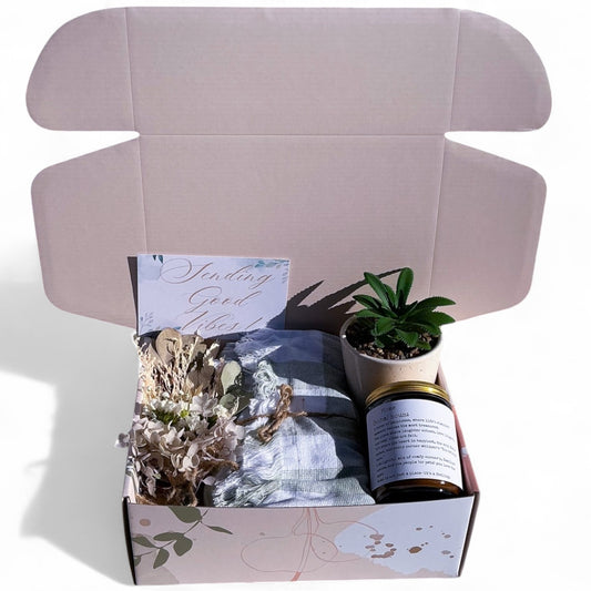 Plant and Home Lover Gift Box