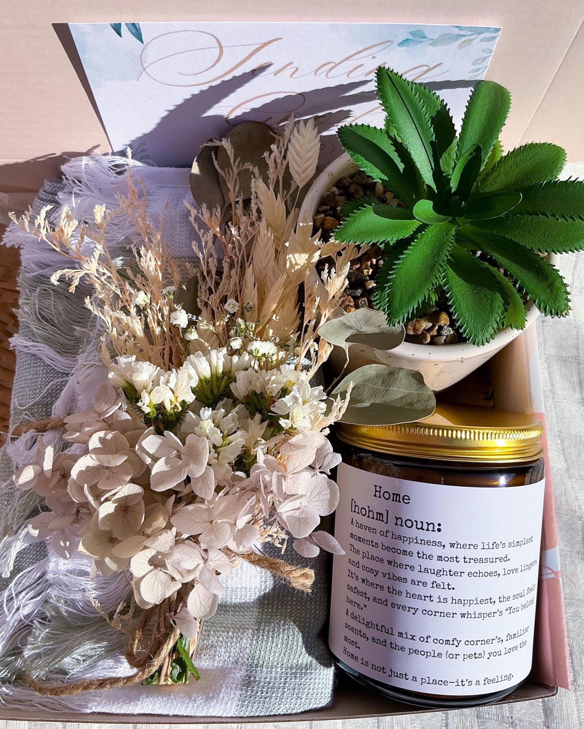 Plant and Home Lover Gift Box